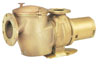 13-029 - Pentair CH 50 pump, 5 HP,