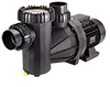 13-665 - Speck Model 95 Pump,