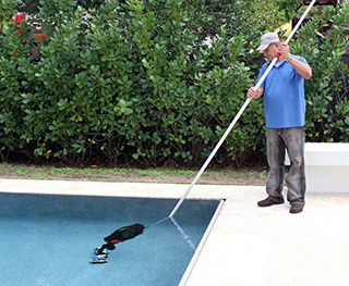 Portable Pool Vac