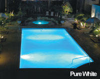 Pure White Bulbs in Pool