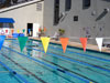 53-005 - Backstroke pennants, 50'